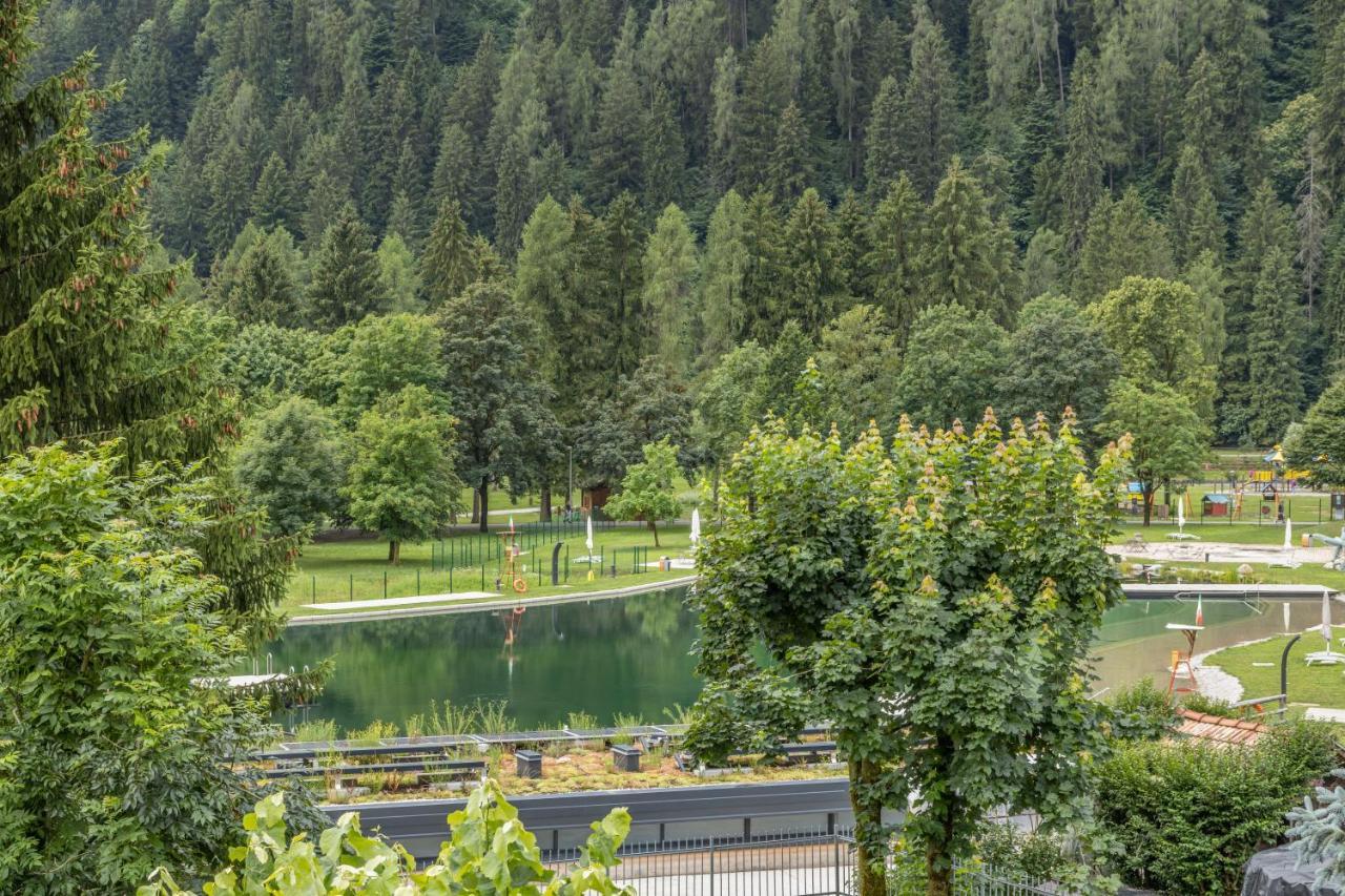 Chalet Mountain Plaza - Apt Greenvalley Pinzolo Exterior foto